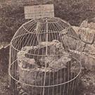 Font at Pevensey Castle